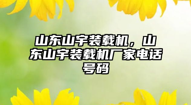 山東山宇裝載機，山東山宇裝載機廠家電話號碼