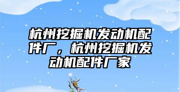 杭州挖掘機發(fā)動機配件廠，杭州挖掘機發(fā)動機配件廠家