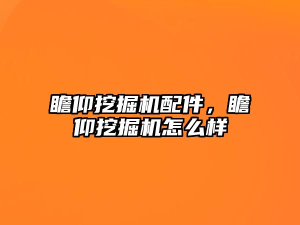 瞻仰挖掘機配件，瞻仰挖掘機怎么樣