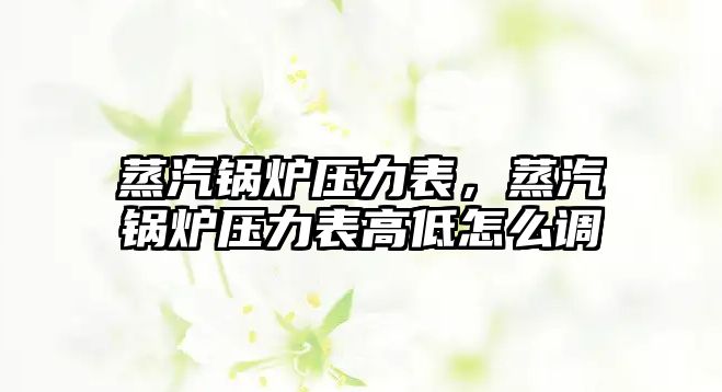 蒸汽鍋爐壓力表，蒸汽鍋爐壓力表高低怎么調(diào)