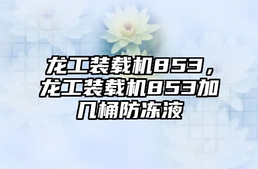 龍工裝載機(jī)853，龍工裝載機(jī)853加幾桶防凍液