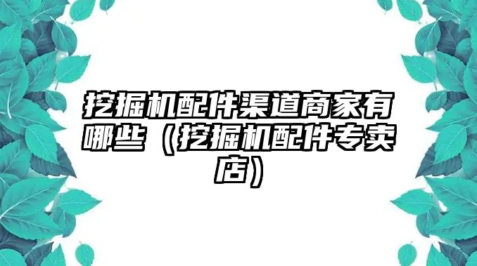 挖掘機(jī)配件渠道商家有哪些（挖掘機(jī)配件專賣店）