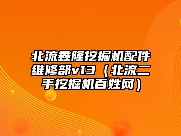 北流鑫隆挖掘機配件維修部v13（北流二手挖掘機百姓網(wǎng)）