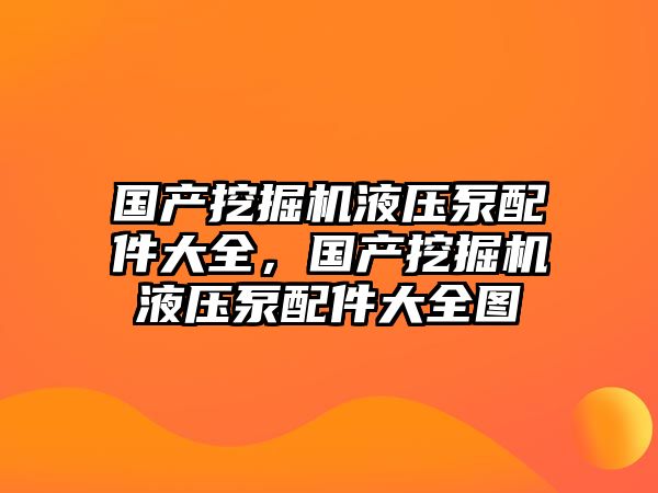 國產(chǎn)挖掘機液壓泵配件大全，國產(chǎn)挖掘機液壓泵配件大全圖