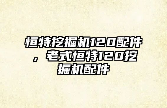 恒特挖掘機120配件，老式恒特120挖掘機配件