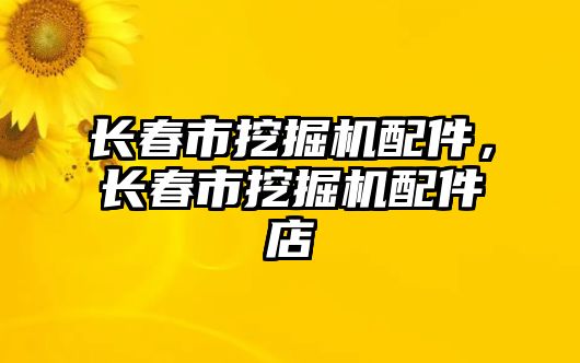 長春市挖掘機配件，長春市挖掘機配件店