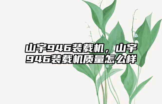 山宇946裝載機(jī)，山宇946裝載機(jī)質(zhì)量怎么樣