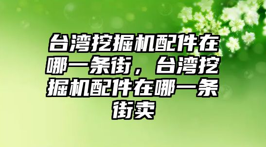 臺灣挖掘機配件在哪一條街，臺灣挖掘機配件在哪一條街賣