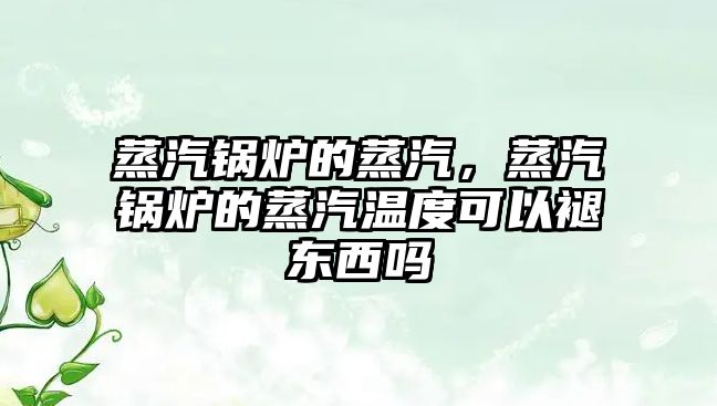 蒸汽鍋爐的蒸汽，蒸汽鍋爐的蒸汽溫度可以褪東西嗎