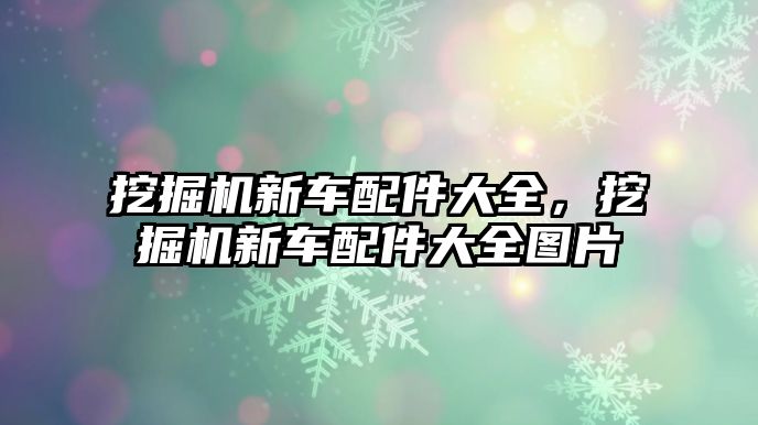 挖掘機新車配件大全，挖掘機新車配件大全圖片