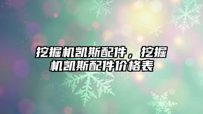 挖掘機(jī)凱斯配件，挖掘機(jī)凱斯配件價(jià)格表