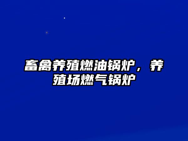 畜禽養(yǎng)殖燃油鍋爐，養(yǎng)殖場(chǎng)燃?xì)忮仩t