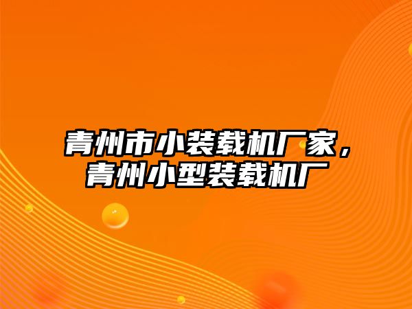 青州市小裝載機(jī)廠家，青州小型裝載機(jī)廠