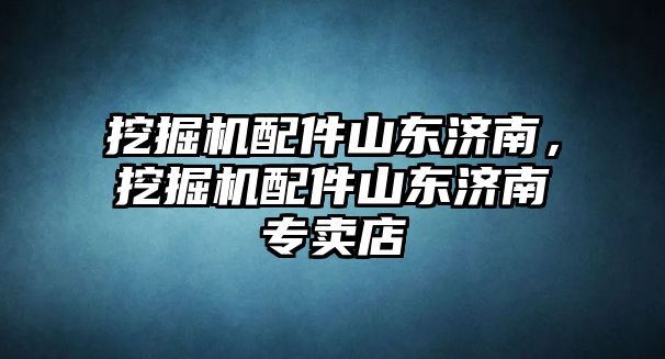 挖掘機(jī)配件山東濟(jì)南，挖掘機(jī)配件山東濟(jì)南專(zhuān)賣(mài)店