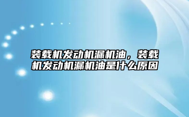 裝載機發(fā)動機漏機油，裝載機發(fā)動機漏機油是什么原因