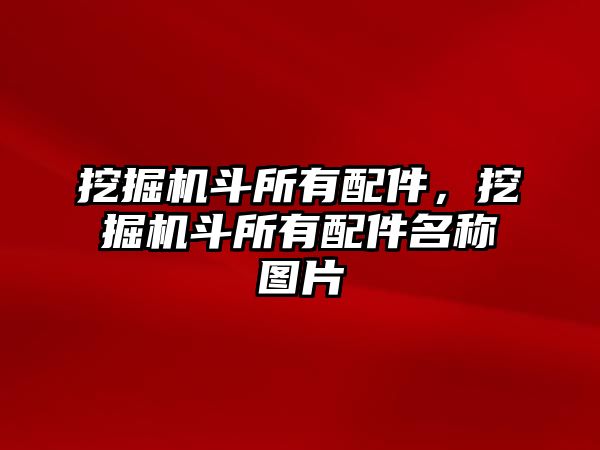 挖掘機(jī)斗所有配件，挖掘機(jī)斗所有配件名稱(chēng)圖片