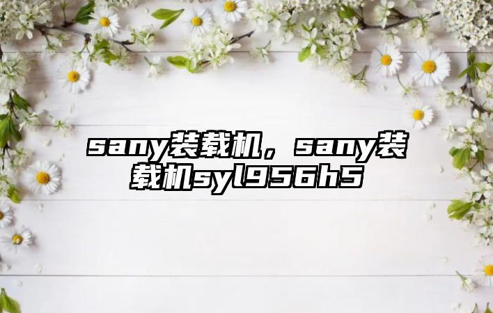 sany裝載機，sany裝載機syl956h5