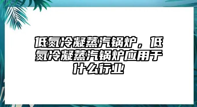 低氮冷凝蒸汽鍋爐，低氮冷凝蒸汽鍋爐應(yīng)用于什么行業(yè)