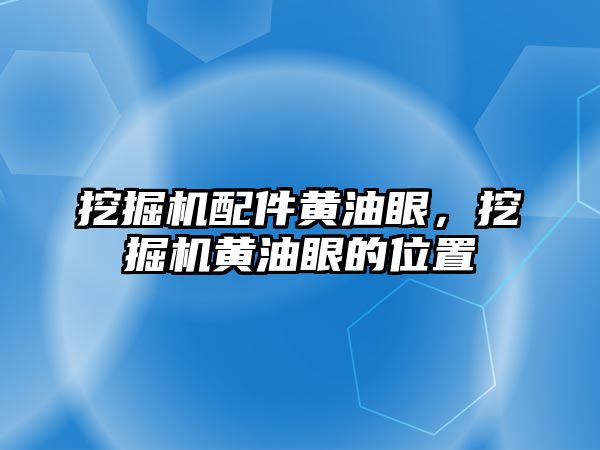 挖掘機配件黃油眼，挖掘機黃油眼的位置