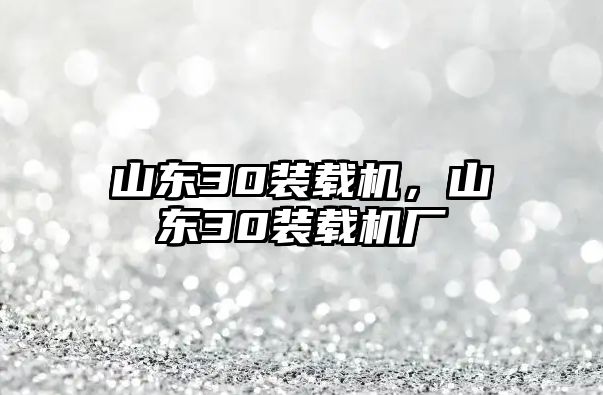 山東30裝載機，山東30裝載機廠