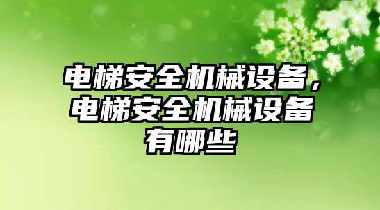 電梯安全機械設(shè)備，電梯安全機械設(shè)備有哪些