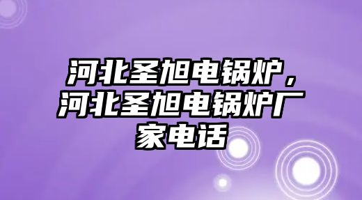 河北圣旭電鍋爐，河北圣旭電鍋爐廠家電話