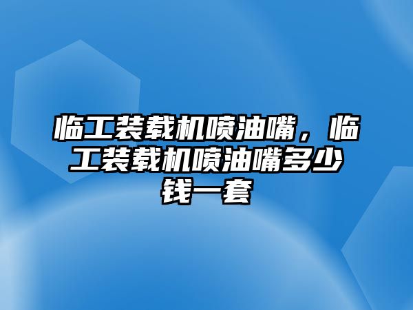 臨工裝載機噴油嘴，臨工裝載機噴油嘴多少錢一套