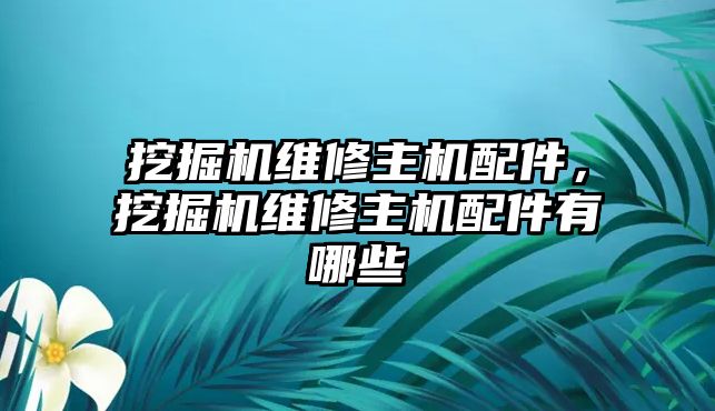 挖掘機(jī)維修主機(jī)配件，挖掘機(jī)維修主機(jī)配件有哪些