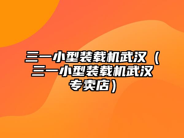 三一小型裝載機武漢（三一小型裝載機武漢專賣店）