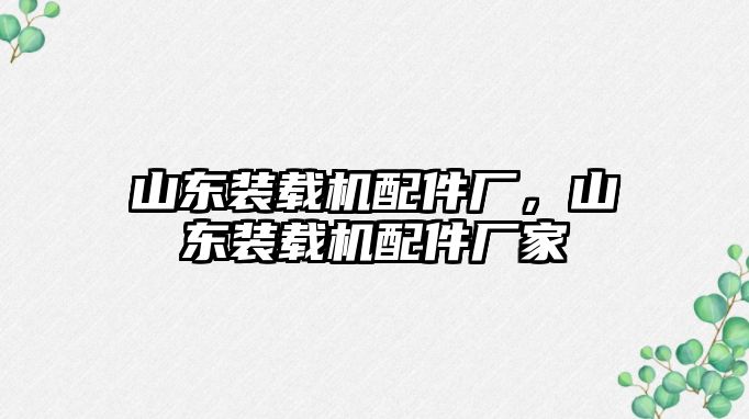 山東裝載機配件廠，山東裝載機配件廠家