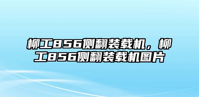 柳工856側(cè)翻裝載機(jī)，柳工856側(cè)翻裝載機(jī)圖片