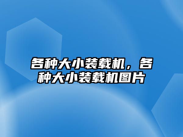 各種大小裝載機，各種大小裝載機圖片