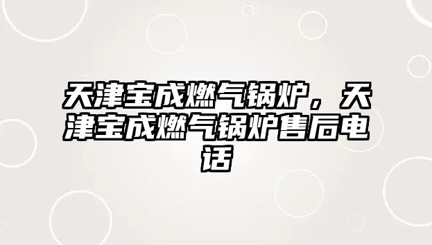 天津?qū)毘扇細(xì)忮仩t，天津?qū)毘扇細(xì)忮仩t售后電話