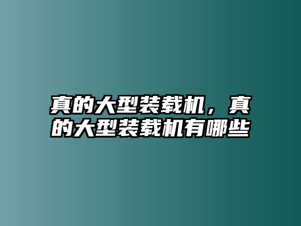 真的大型裝載機，真的大型裝載機有哪些