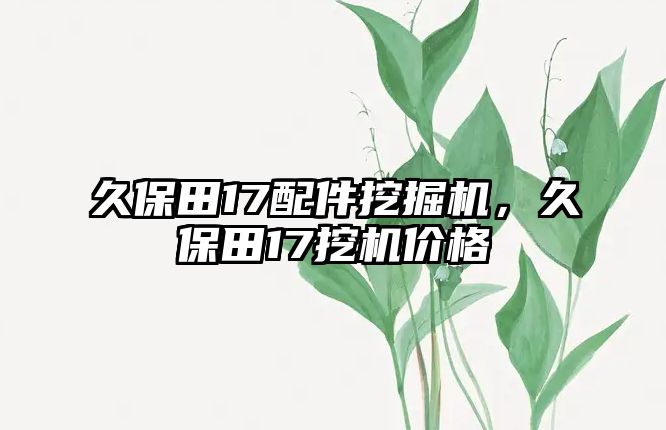 久保田17配件挖掘機(jī)，久保田17挖機(jī)價格