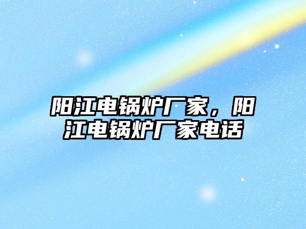 陽江電鍋爐廠家，陽江電鍋爐廠家電話