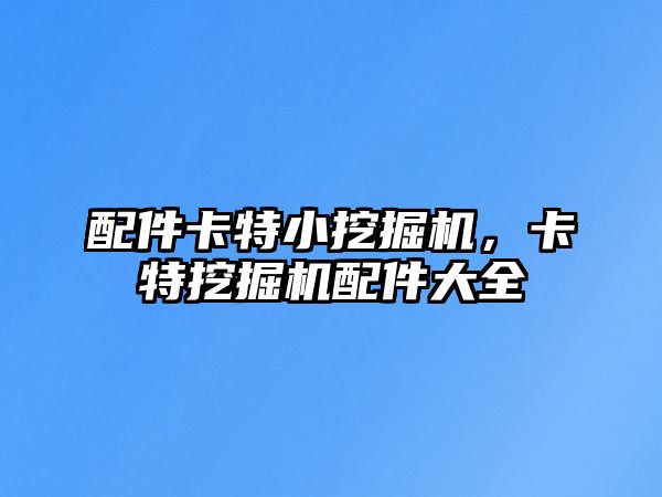 配件卡特小挖掘機，卡特挖掘機配件大全