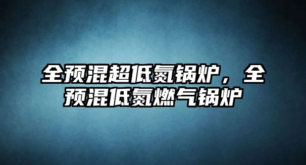 全預(yù)混超低氮鍋爐，全預(yù)混低氮燃?xì)忮仩t