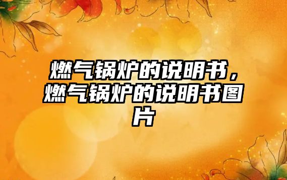 燃?xì)忮仩t的說明書，燃?xì)忮仩t的說明書圖片