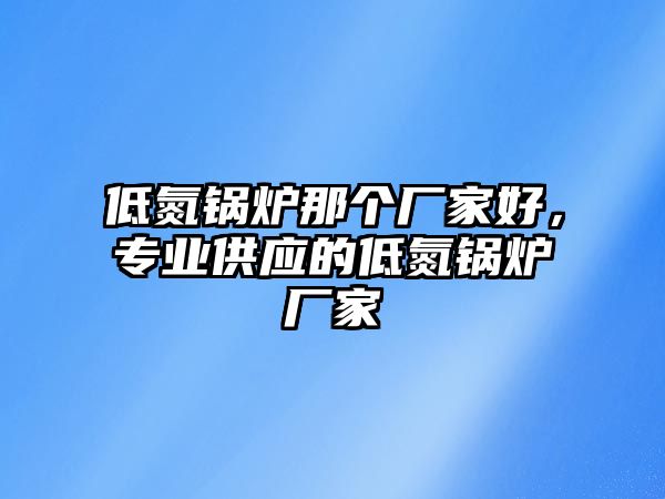 低氮鍋爐那個廠家好，專業(yè)供應(yīng)的低氮鍋爐廠家