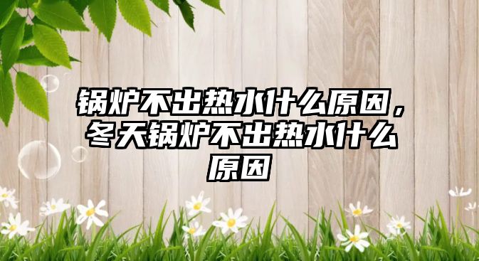 鍋爐不出熱水什么原因，冬天鍋爐不出熱水什么原因