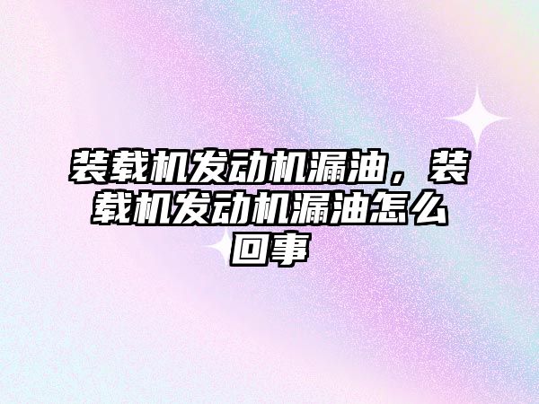 裝載機發(fā)動機漏油，裝載機發(fā)動機漏油怎么回事