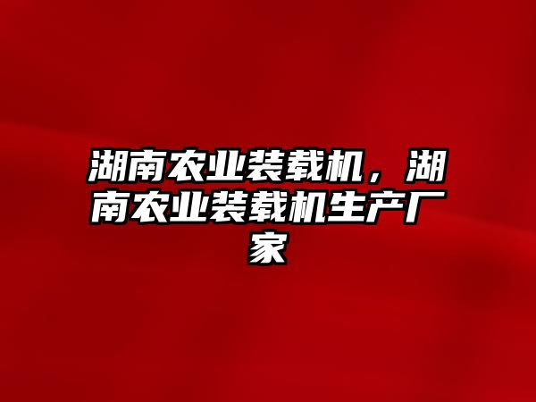 湖南農(nóng)業(yè)裝載機，湖南農(nóng)業(yè)裝載機生產(chǎn)廠家