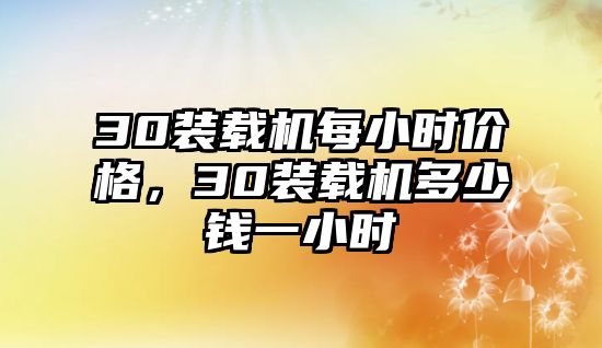 30裝載機每小時價格，30裝載機多少錢一小時