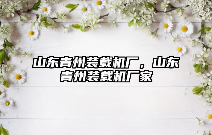 山東青州裝載機廠，山東青州裝載機廠家