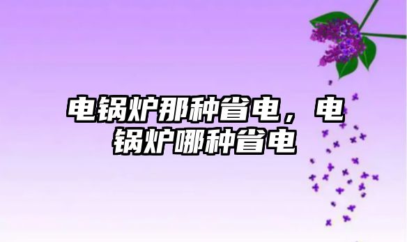 電鍋爐那種省電，電鍋爐哪種省電