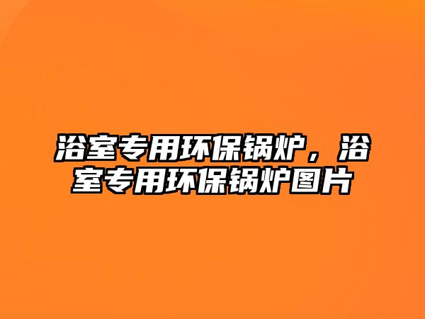 浴室專用環(huán)保鍋爐，浴室專用環(huán)保鍋爐圖片