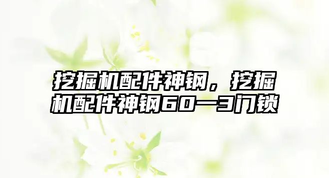 挖掘機(jī)配件神鋼，挖掘機(jī)配件神鋼60一3門(mén)鎖