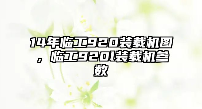 14年臨工920裝載機圖，臨工920l裝載機參數(shù)