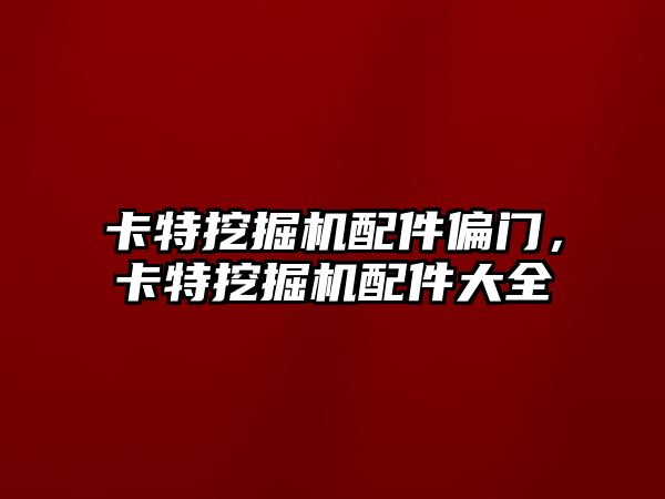 卡特挖掘機配件偏門，卡特挖掘機配件大全